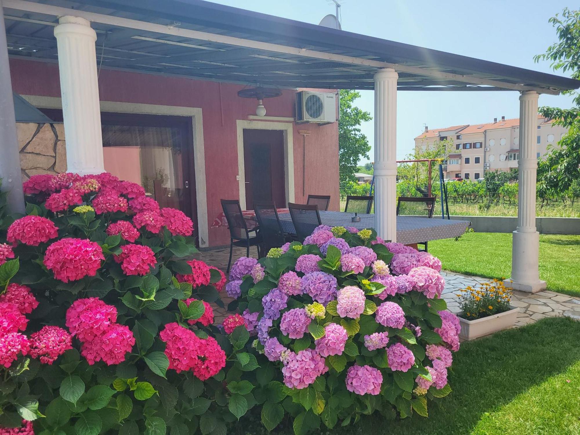Apartments Dragica Poreč Dış mekan fotoğraf